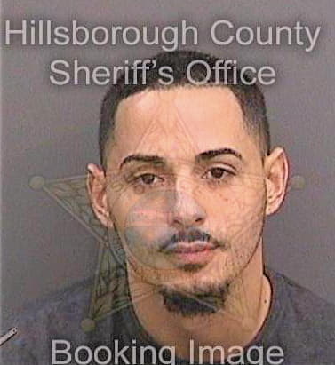 Rivera David - Hillsborough County, FL 