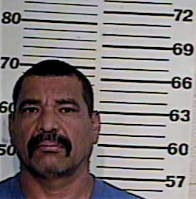 Hernandez Efrain - Hidalgo County, TX 