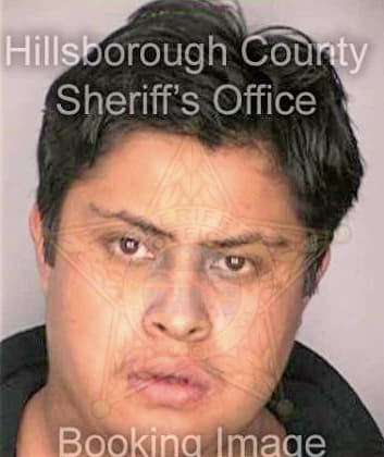 Flores Alvaro - Hillsborough County, FL 