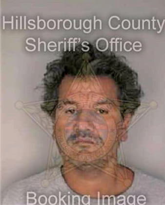 Silva Martin - Hillsborough County, FL 