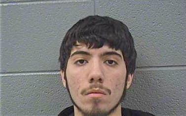 Hernandez Adam - Cook County, IL 