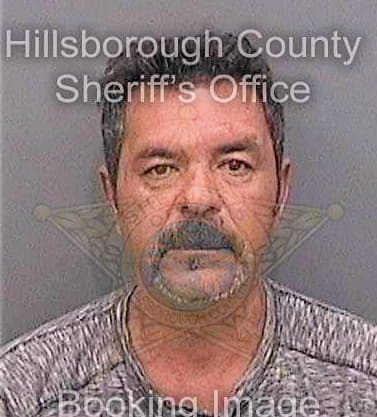 Bridon Gustavo - Hillsborough County, FL 