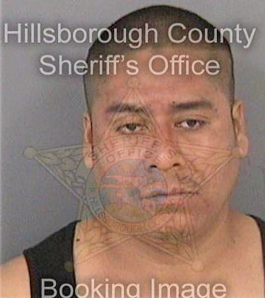 Perezmoreno Caralapio - Hillsborough County, FL 