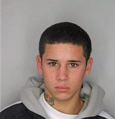 Ramirez Nicolas - Hillsborough County, FL 