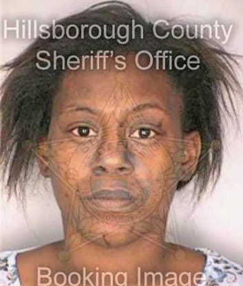 Simmons Sherica - Hillsborough County, FL 