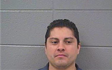 Hernandez Miguel - Cook County, IL 