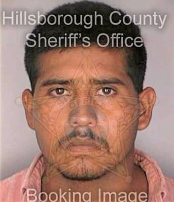 Vargas Marcos - Hillsborough County, FL 