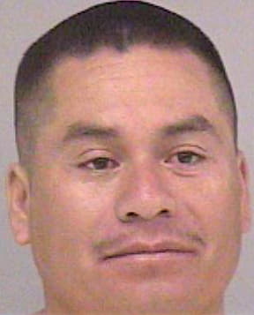 Dejesus Domingo - Madera County, CA 