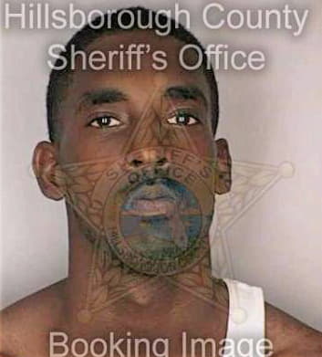 Mcintyre Jay - Hillsborough County, FL 
