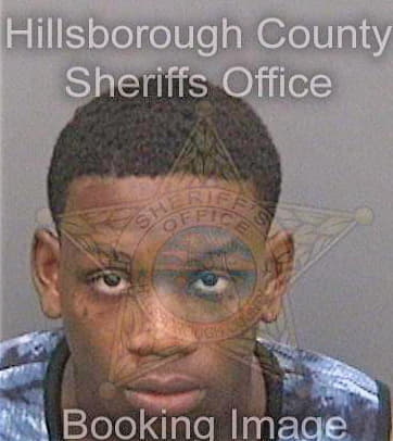 Johnson Andre - Hillsborough County, FL 