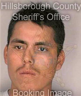 Simongonzalez Jose - Hillsborough County, FL 