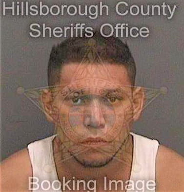 Luquezorozco Lenin - Hillsborough County, FL 