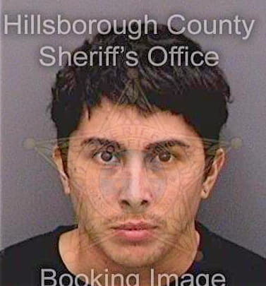 Rodriguez Anthony - Hillsborough County, FL 