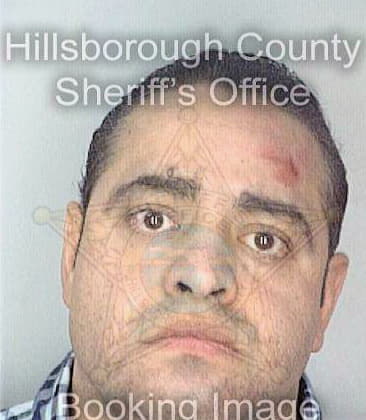 Sola Severiano - Hillsborough County, FL 