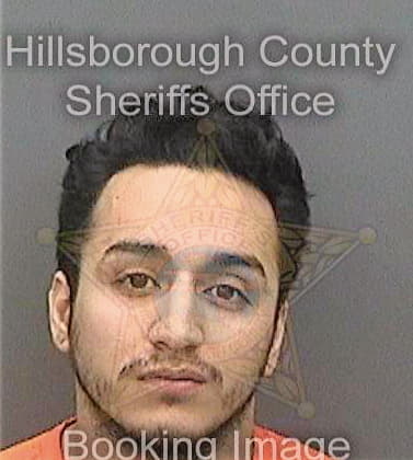 Ferrer Timothy - Hillsborough County, FL 