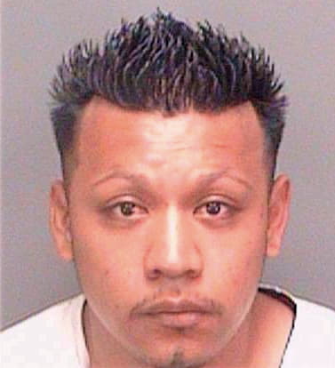 Hernandez Cesar - Pinellas County, FL 