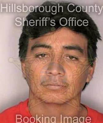 Perezmartinez Gilberto - Hillsborough County, FL 