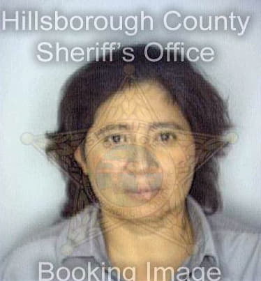 Gonzalezperez Dina - Hillsborough County, FL 