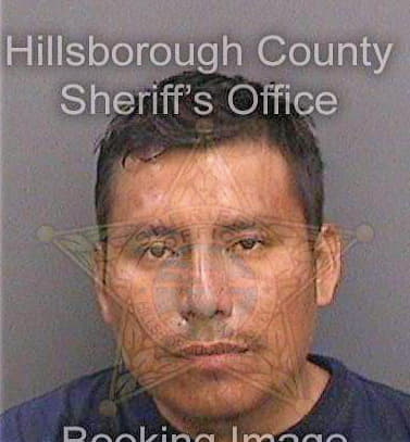 Lopezjuarez Esteban - Hillsborough County, FL 