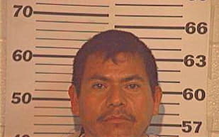 Delgado Rene - Hidalgo County, TX 