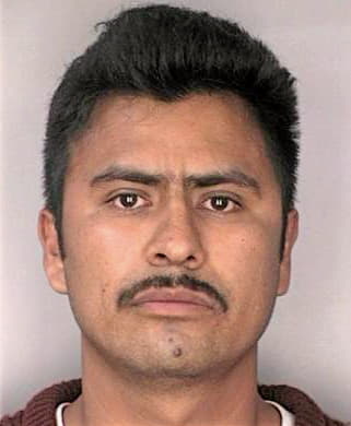 Sequra Arturo - Hillsborough County, FL 