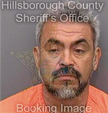 Martinez Carlos - Hillsborough County, FL 