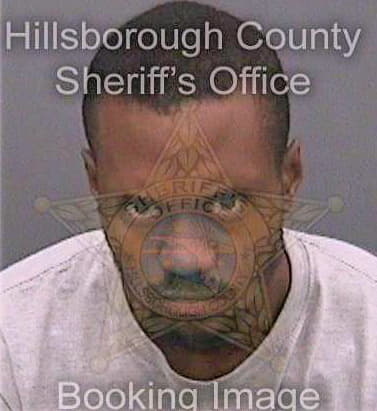 Hollinger Gregory - Hillsborough County, FL 