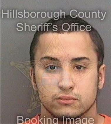 Freyre Avram - Hillsborough County, FL 