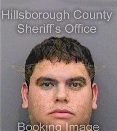 Delgado Juan - Hillsborough County, FL 