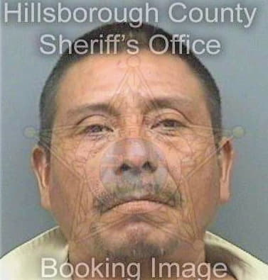 Diaz Antonio - Hillsborough County, FL 