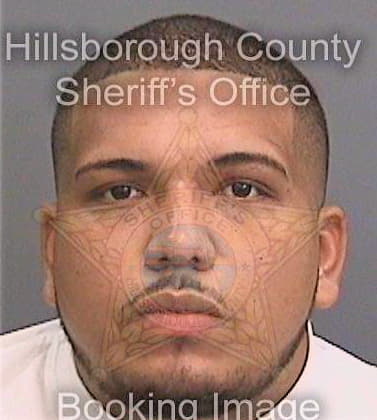 Colindresbaquedano Melgin - Hillsborough County, FL 