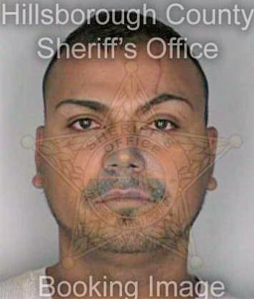 Ortiz Jose - Hillsborough County, FL 