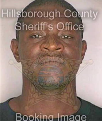 Mcintyre William - Hillsborough County, FL 