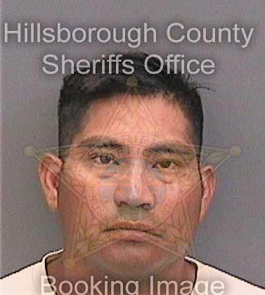 Jimenezdelacruz Carlos - Hillsborough County, FL 