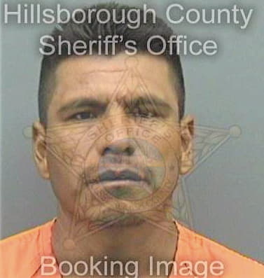 Perezlopez Mario - Hillsborough County, FL 