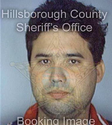 Lopezsardina Yoel - Hillsborough County, FL 