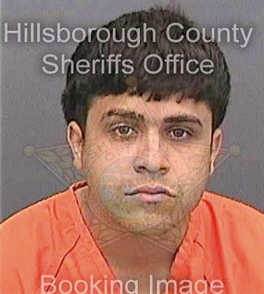 Medinavasquez Jonathan - Hillsborough County, FL 