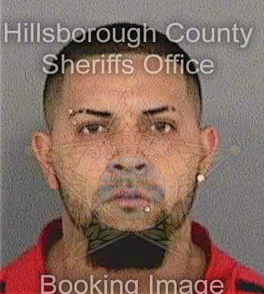 Nieves Luis - Hillsborough County, FL 