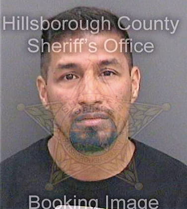 Silva Nicholas - Hillsborough County, FL 