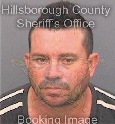 Mejia Carlos - Hillsborough County, FL 