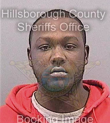 Balkman Kenneth - Hillsborough County, FL 