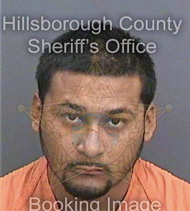 Mejia Raul - Hillsborough County, FL 