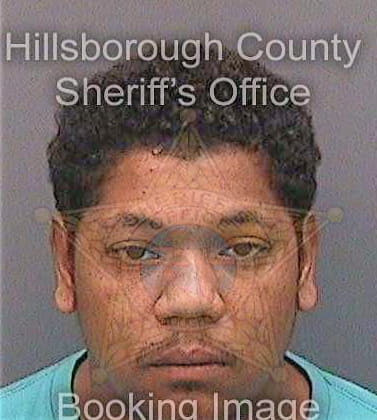 Cepeda William - Hillsborough County, FL 