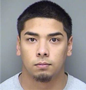 Hernandez Joe - Denton County, TX 