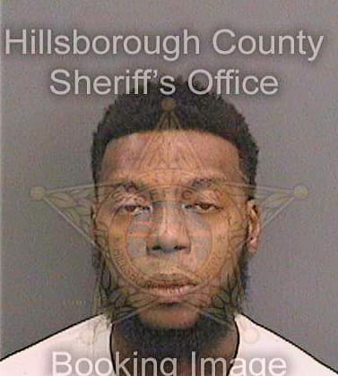 Boyd Aaron - Hillsborough County, FL 