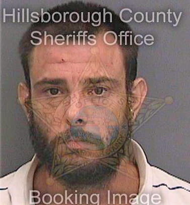 Schult David - Hillsborough County, FL 