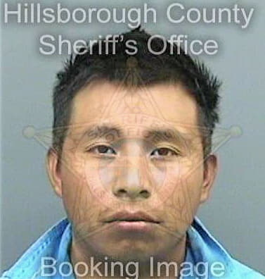 Gonzalezcastro Filemon - Hillsborough County, FL 