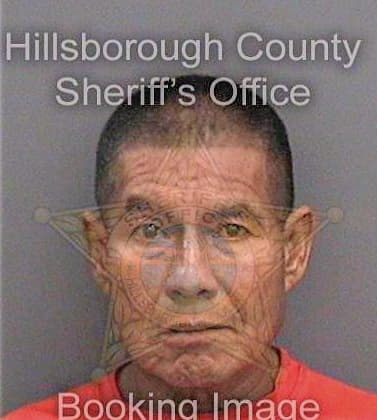 Sotolorenzo Severo - Hillsborough County, FL 