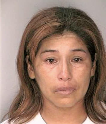 Medinalarrea Natali - Hillsborough County, FL 