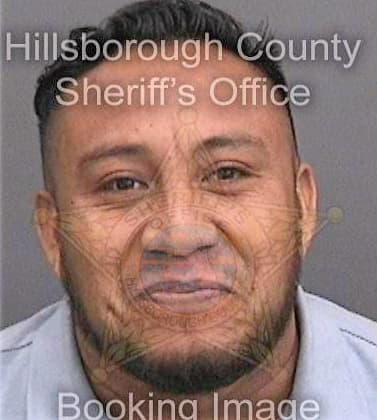 Velazquezmartinez Esteban - Hillsborough County, FL 